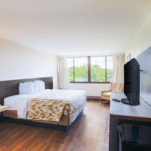 King Room Mobility accessible